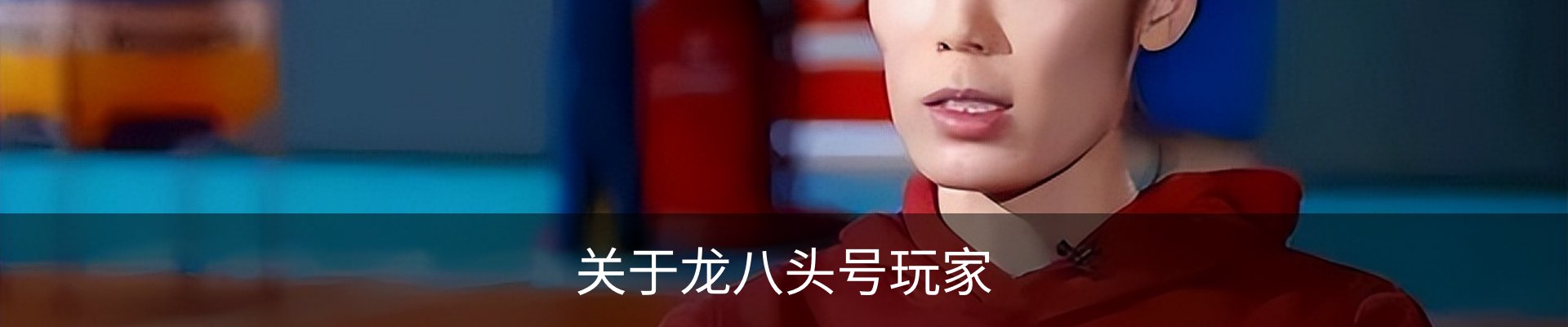 关于龙八头号玩家