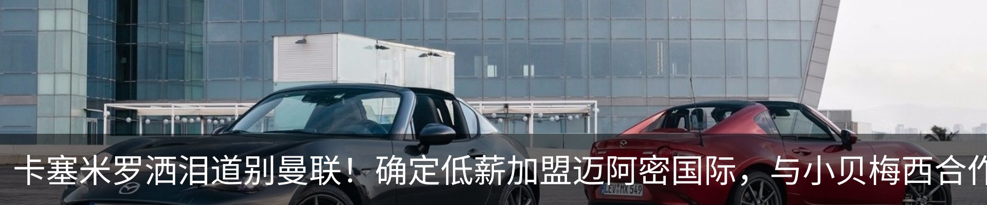 最新动态