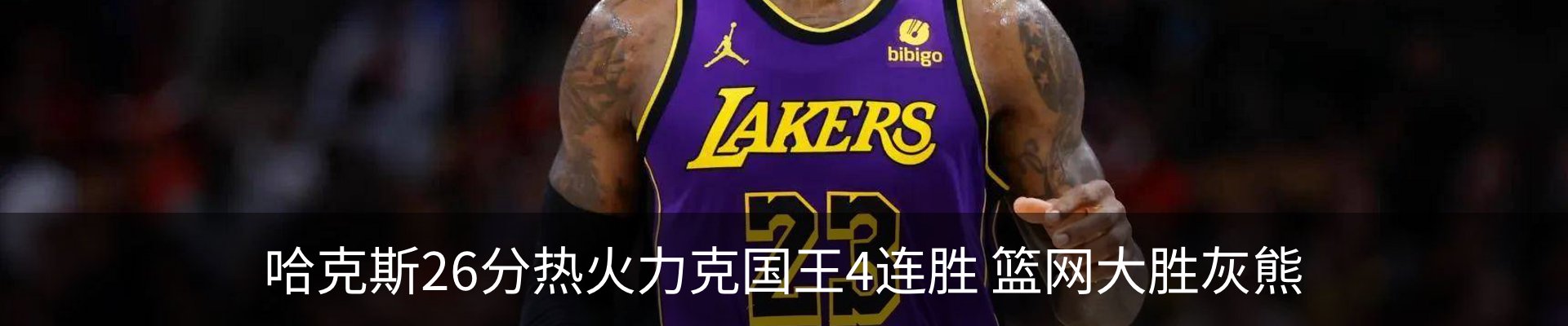 最新动态